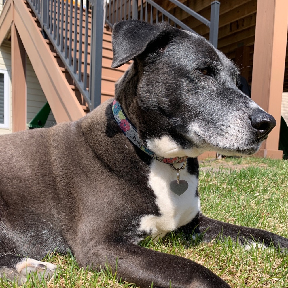 Meet your Posher, Brennan